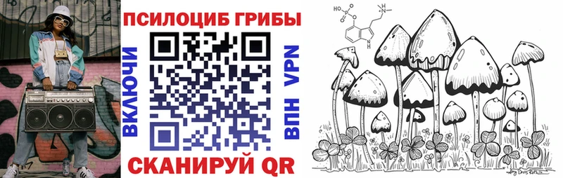 Псилоцибиновые грибы MAGIC MUSHROOMS  закладки  гидра ссылка  Сокол 