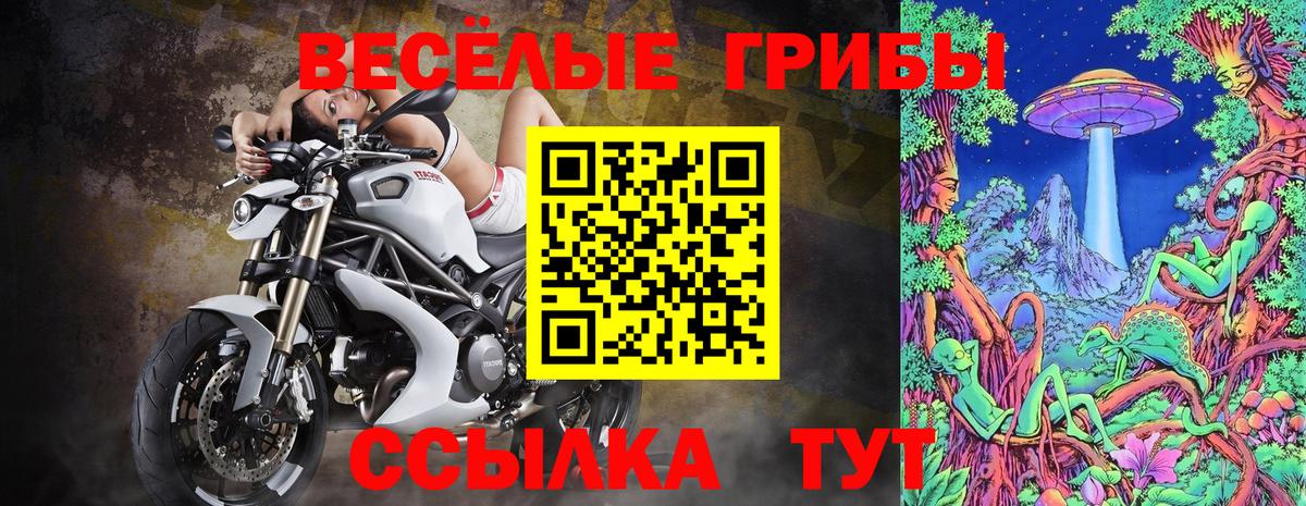 Галлюциногенные грибы мицелий Сокол
