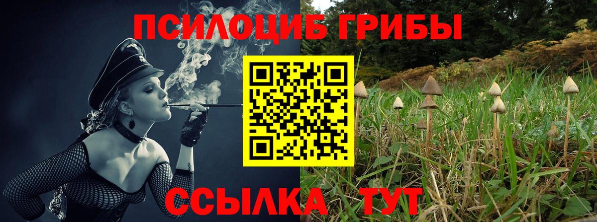 Сокол  Галлюциногенные грибы MAGIC MUSHROOMS  Вход с VPN 